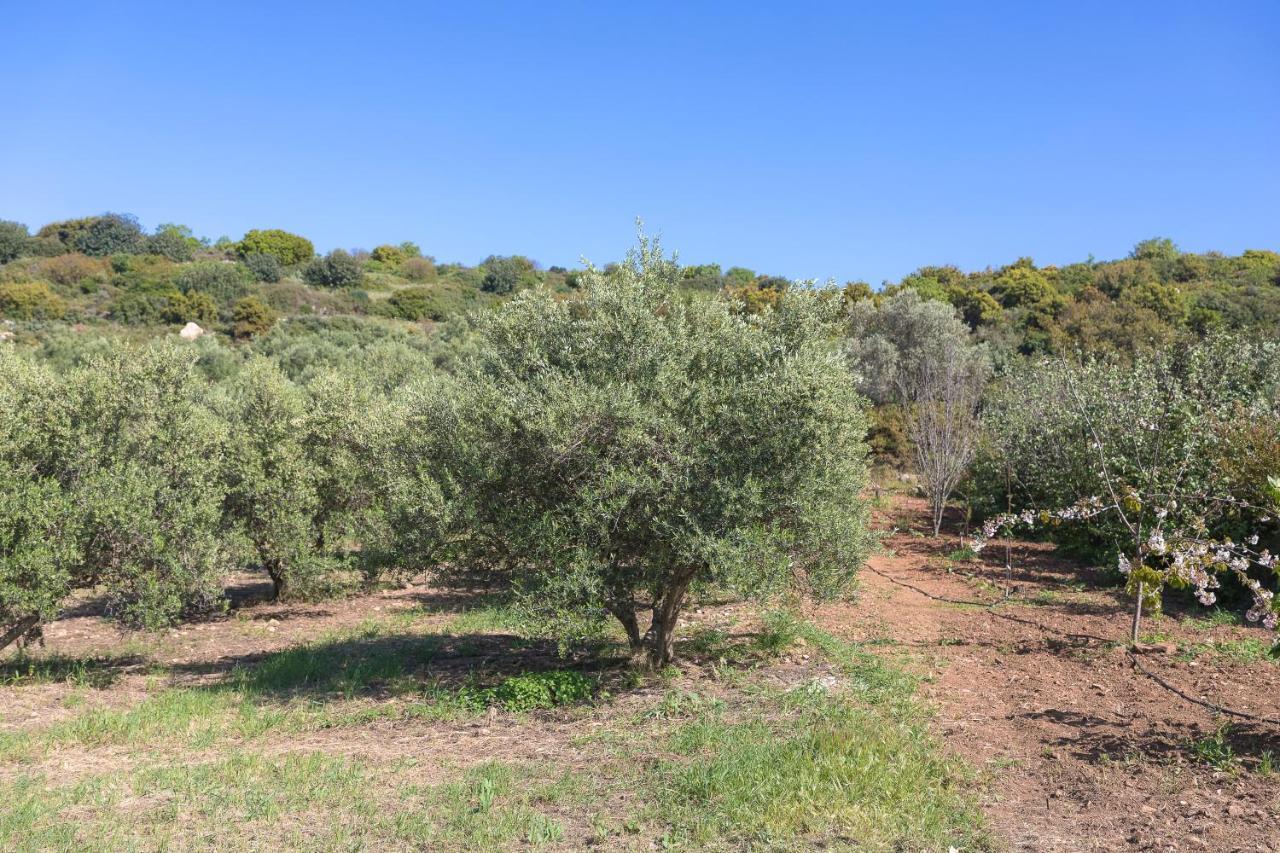 Eden'S Garden Skouloufia Villa Dış mekan fotoğraf