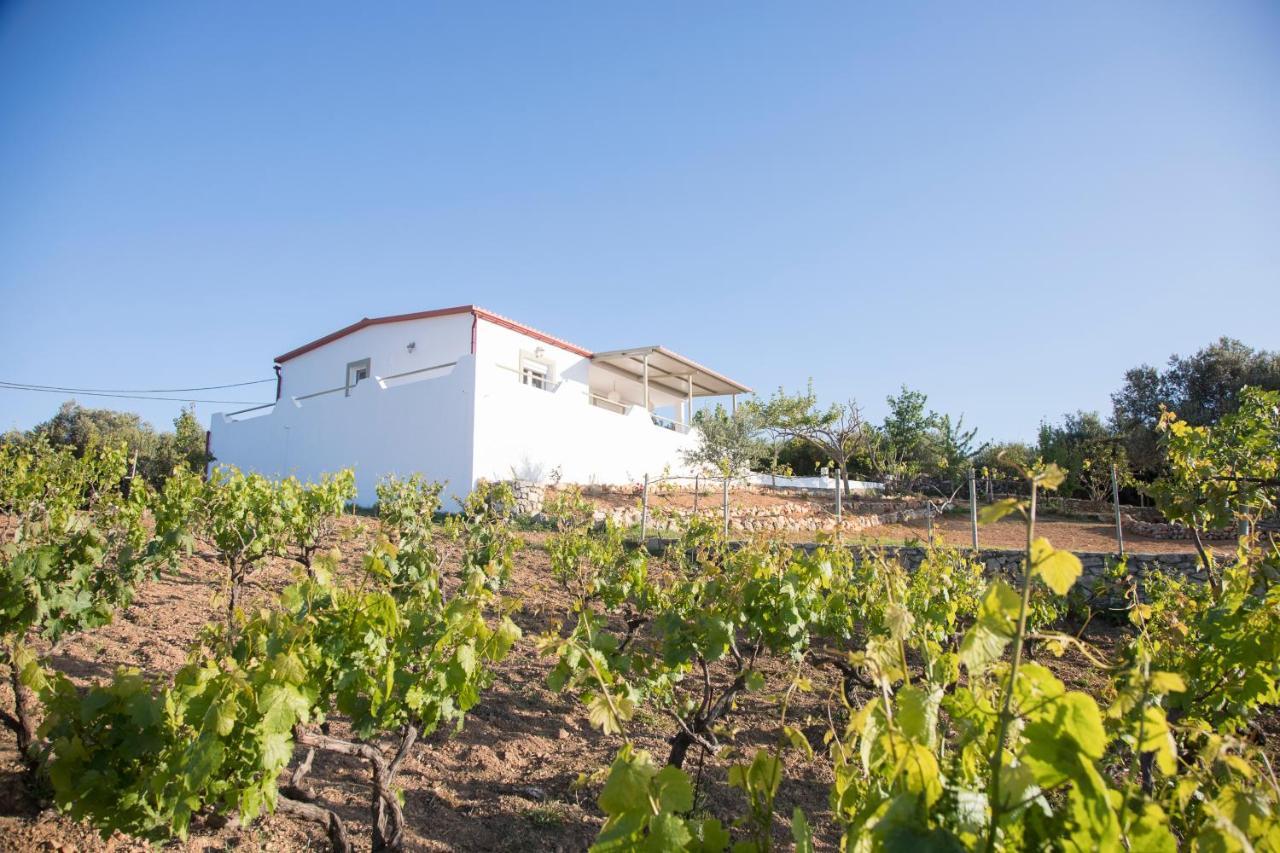 Eden'S Garden Skouloufia Villa Dış mekan fotoğraf