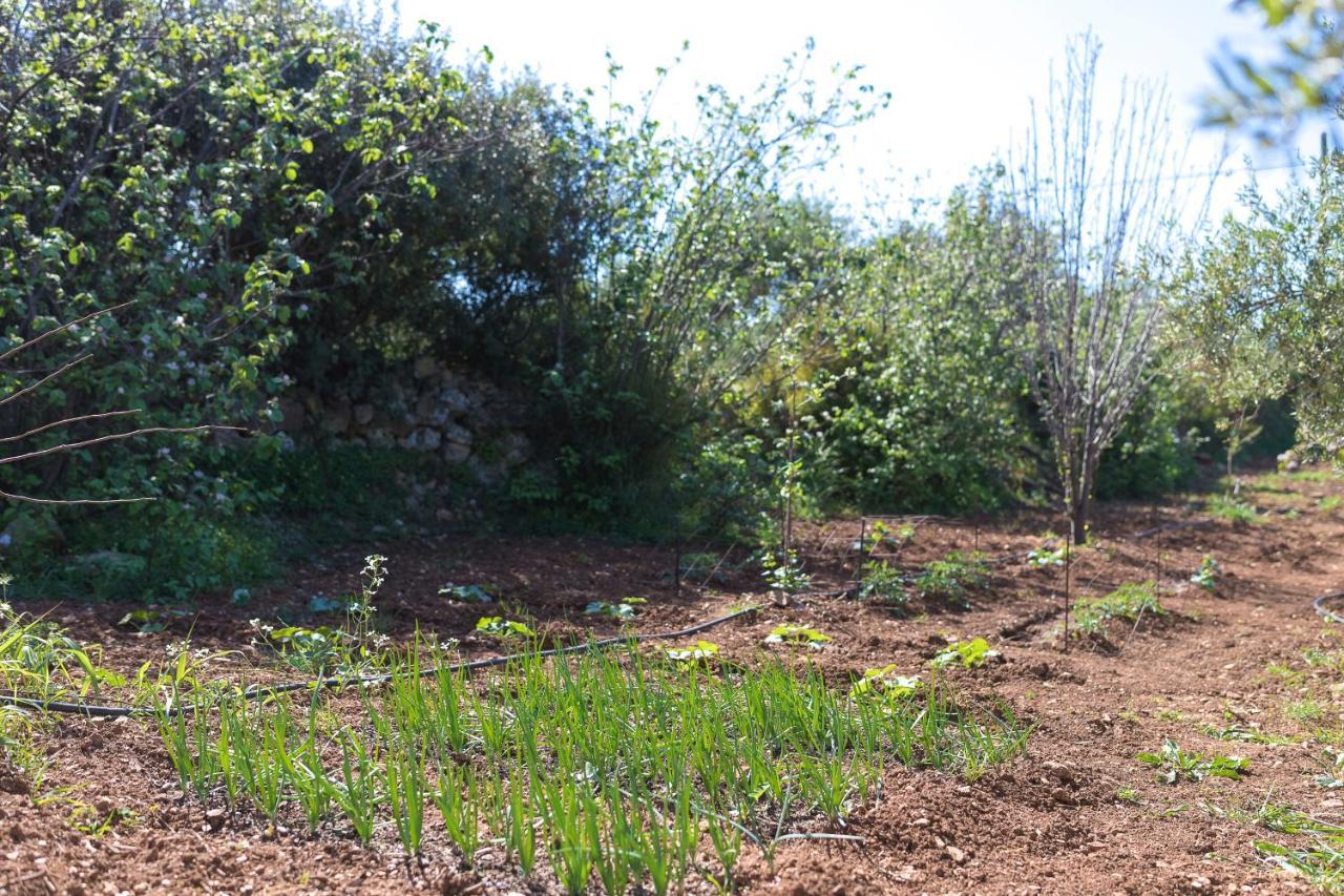 Eden'S Garden Skouloufia Villa Dış mekan fotoğraf